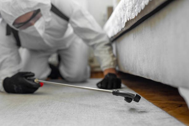 Professional Termite Control technician working in Lindale, GA